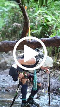 BIB:  <button type="button" onclick="openModal(27799516)" class="btn btn-primary btn-sm float-right" data-toggle="modal" data-target=".modal-high-quality">
                <i class="fa fa-download"></i> Download
                </button>